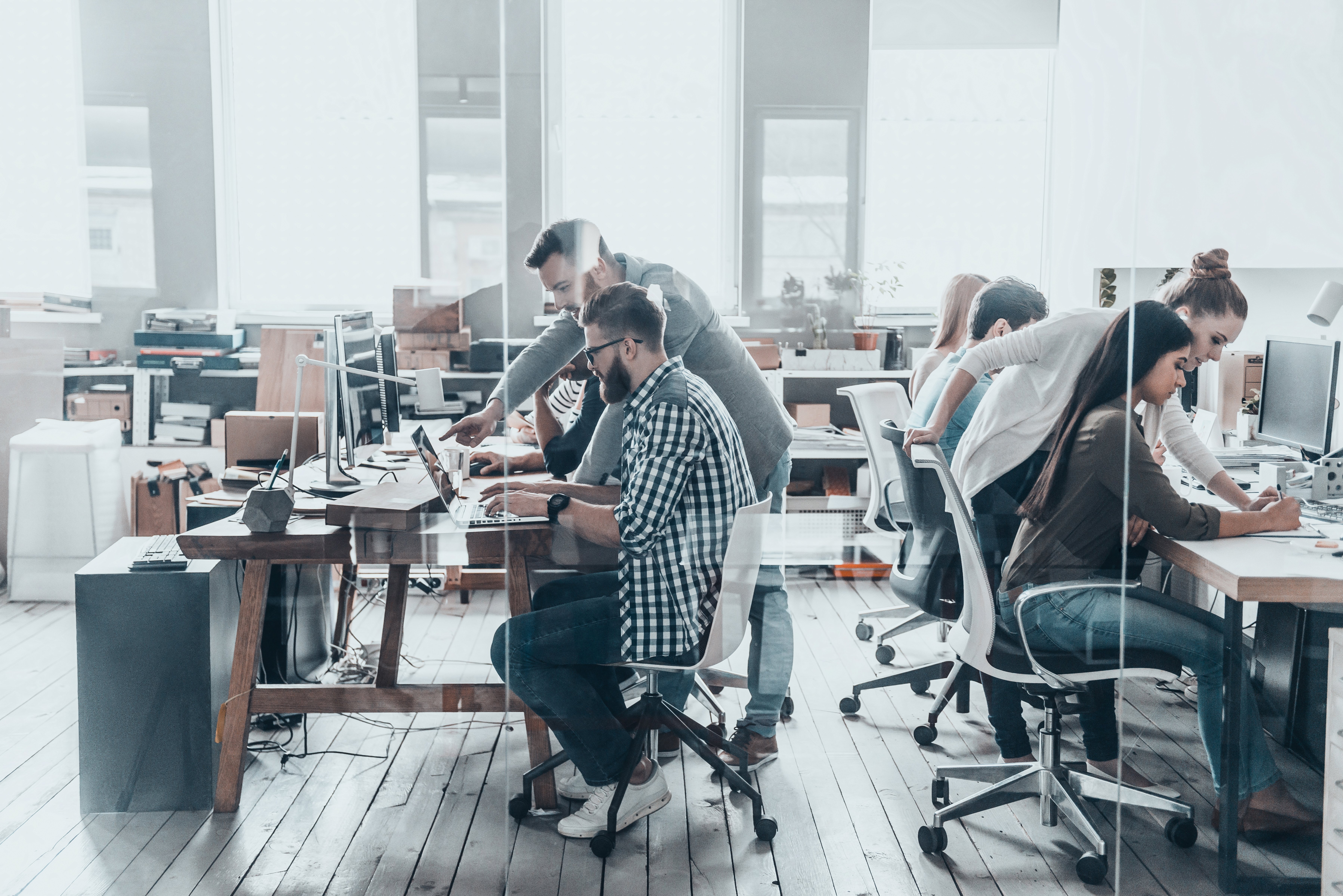 Office of people sitting working at their computers