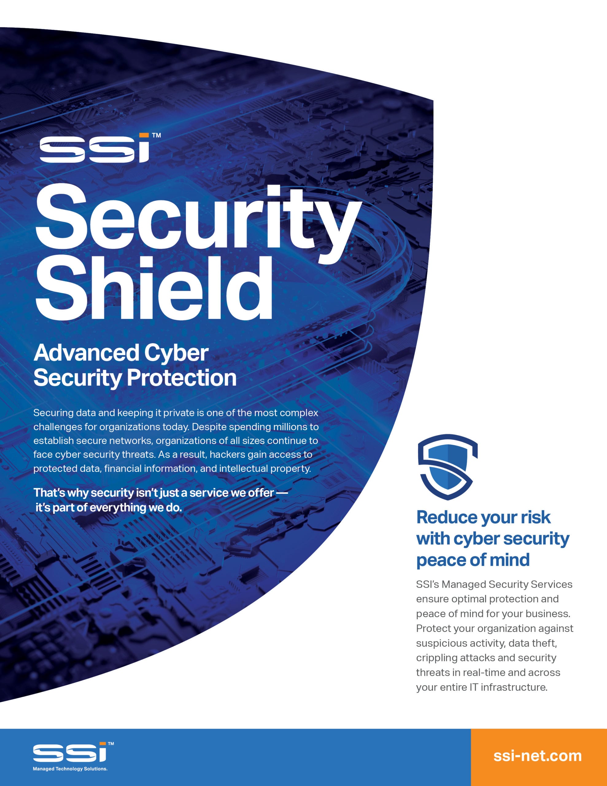 Download SSI's Security Shield Datasheet